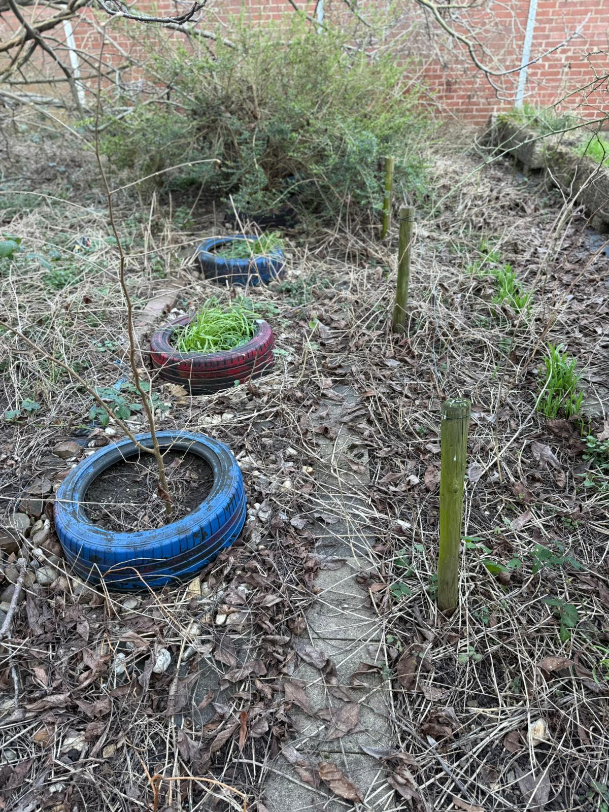 Vorher Garten